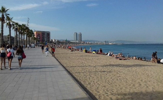 Barcelonetta beach, the Olympic port and two skyscrapers are visible-the Arts Hotel and the Mapfre office | Hobby Keeper Articles