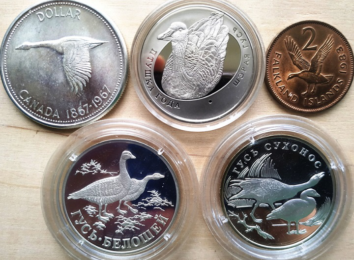 Geese on coins from different countries | Hobby Keeper Articles