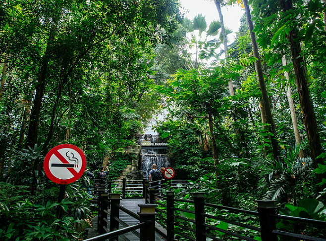 Walking area "Waterfront jungle" of airport Kuala Lumpur | Hobby Keeper Articles